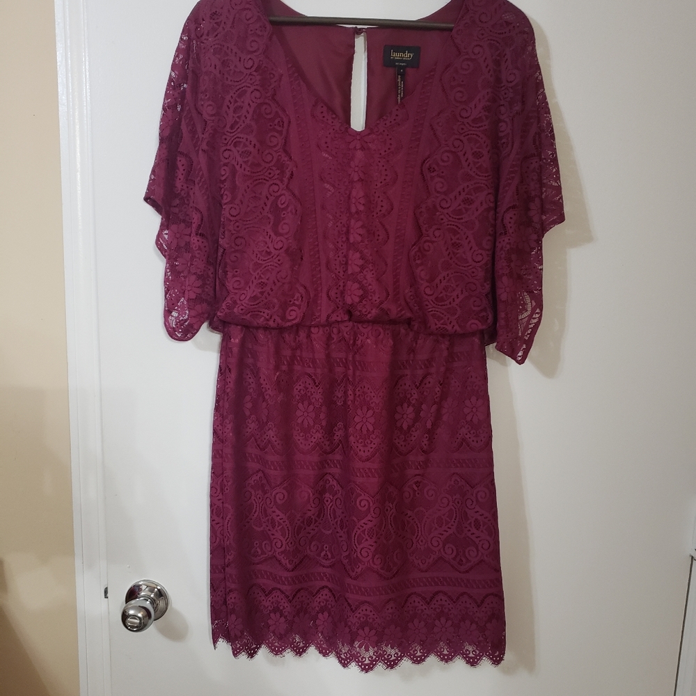 Chinese Laundry Lace Dress
